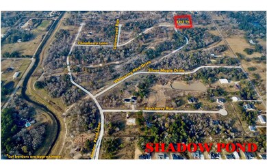 2603 Whispering Pine Dr, Alvin, TX 77511 - photo 4