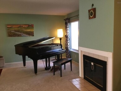 LR and fireplace