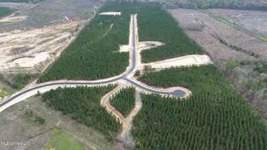 DJI_0893