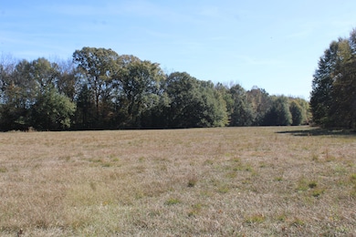 12000 Center Hill Rd, Mineral Wells, MS 38654 - photo 3