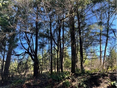 0 John Lee Rd, Buxton, OR 97109 - photo 7