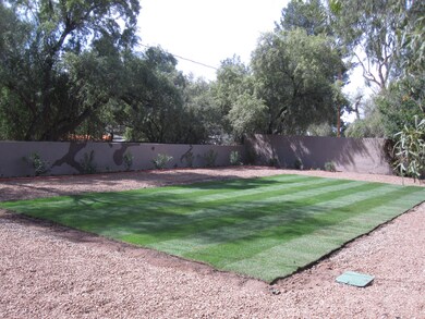Backyard 2