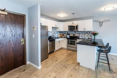 Courtland Hall unit 317, Saint Louis, MO 63141 - photo 2