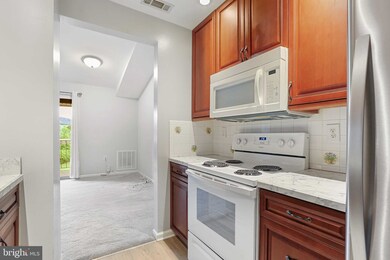 1110 Castle Harbour Way unit 3D, Glen Burnie, MD 21060 - photo 7