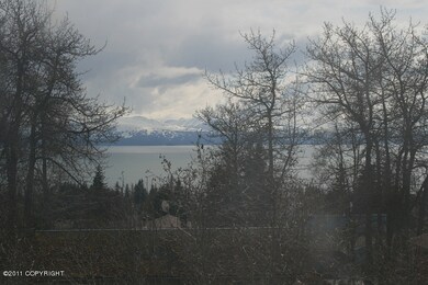 view 1