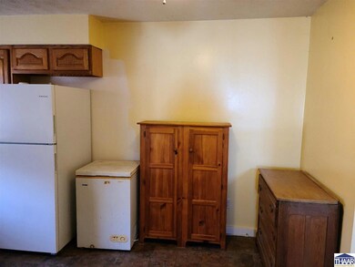 5421 N Riverside Rd, Attica, IN 47918 - photo 6