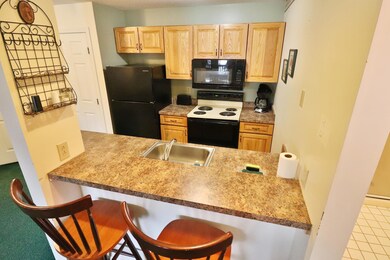 160 Deer Park Dr unit 142A, Woodstock, NH 03262 - photo 5