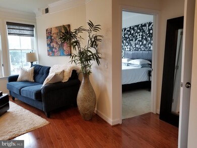 Dominion Heights unit 317, Arlington, VA 22207 - photo 4
