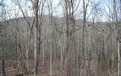 Additional View