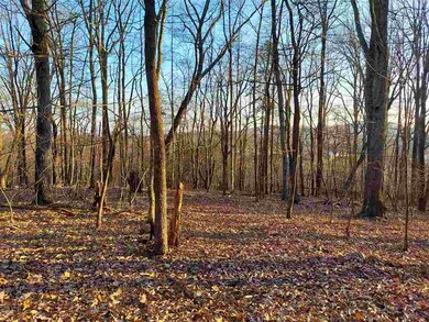 unlisted-address, Stanardsville, VA 22973 - photo 2