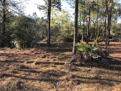 8965 SW 212th Ct, Dunnellon, FL 34431 - photo 3