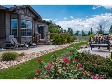 Backyard View