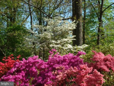 6430 Lily Dhu Ln, Falls Church, VA 22044 - photo 4