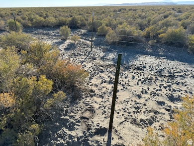 Aerial view of property and surrounding area featuring a forest