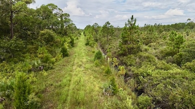 00 Beach Rd unit LotWP001, Perry, FL 32348 - photo 4