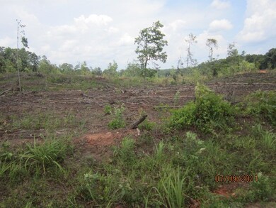 000 Lee Poss Rd, Rayle, GA 30660 - photo 6