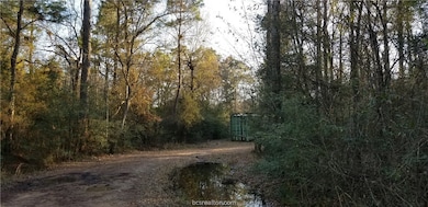 25571 Kimbro Rd, Hockley, TX 77447 - photo 2