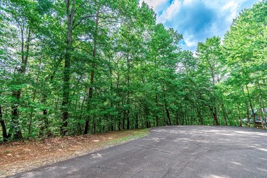Lot 13 Shady Pine Trail, Ellijay, GA 30540 - photo 3