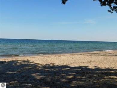 798 E Shady Ln, Au Gres, MI 48703 - photo 2