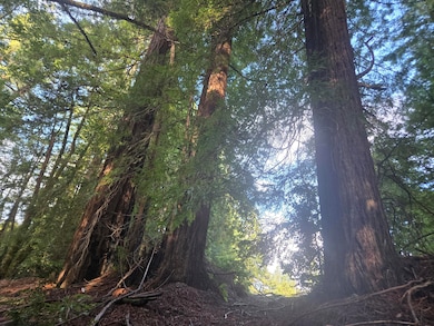 1777 Sprowl Creek Rd, Garberville, CA 95542 - photo 2