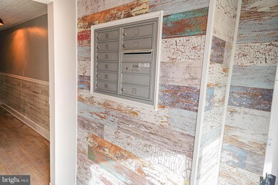 308 N Division St unit 10, Salisbury, MD 21801 - photo 7