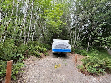 19401 Whiteman Cove Rd SW, Longbranch, WA 98351 - photo 4