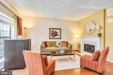 7142 Cold Spring Ct, Alexandria, VA 22306 - photo 4