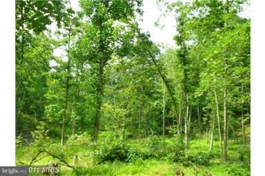 433 Apple Harvest Dr, Gerrardstown, WV 25420 - photo 5