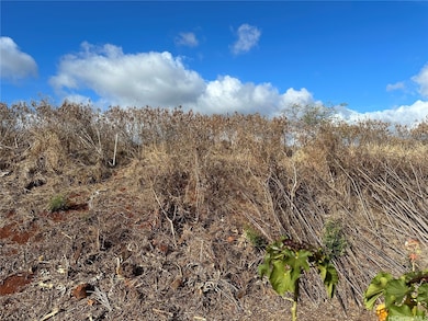 94-944 Kunia Rd, Waipahu, HI 96797 - photo 4