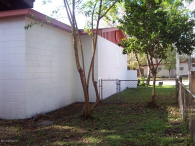 North side of house and yard