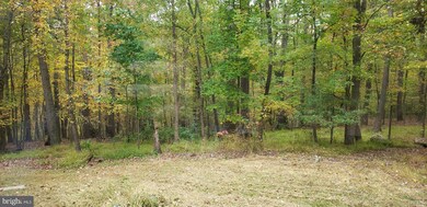 5420 Whitetail Dr, Sykesville, MD 21784 - photo 4