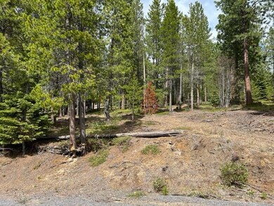 IMG_5474