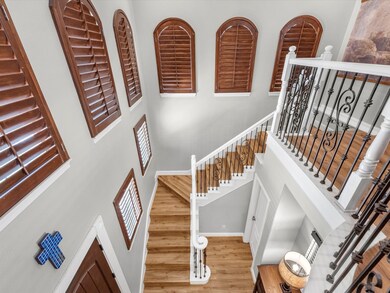Floor to ceiling windows, adorned with custom shut