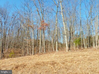 LOT 38 Comforter Ln, North River, VA 22645 - photo 3