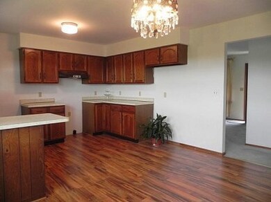 8521 E 101st Ave, Crown Point, IN 46307 - photo 4