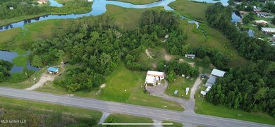IMG_6561