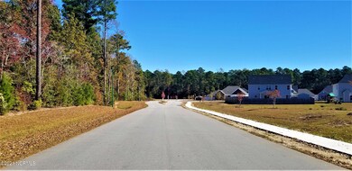 4008 Sharpnose St, New Bern, NC 28562 - photo 7