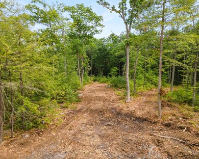 print_DJI_0388 (2)