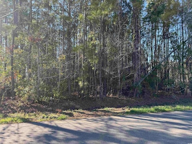 TBD N Farr Ave, Andrews, SC 29510 - photo 2