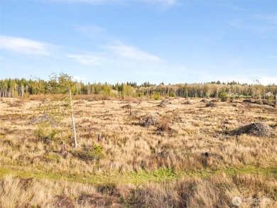 Looking over tis 40 acre parcel for sale.  Two other parcels for sale, a 40 & 60.8 parcel as well.