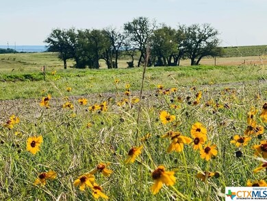 1205 Holden Loop, Copperas Cove, TX 76522 - photo 6