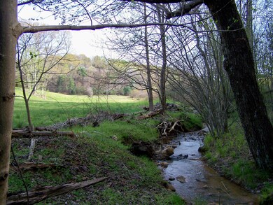 Stream on Property near NW Corner