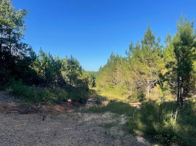 00 N County Line Rd, Maben, MS 39750 - photo 5