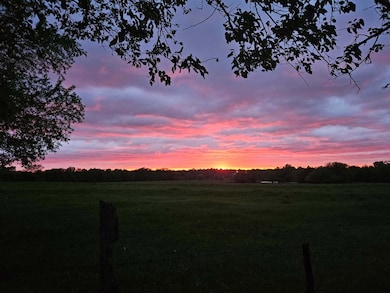 313 Deer Run, Willard, MO 65781 - photo 7