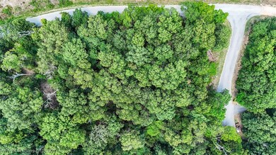 Lot 7 Tyne Ln, Bella Vista, AR 72714 - photo 6