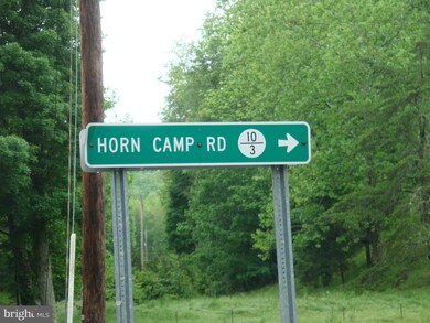 0 Horn Camp Rd unit 1000214915, Rio, WV 26755 - photo 5