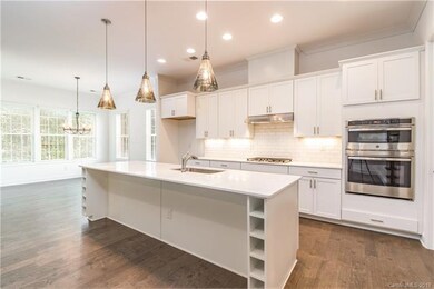 Representational Photo Only