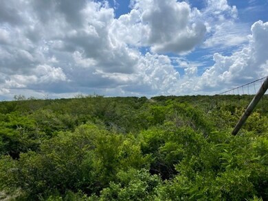 unlisted-address, Freer, TX 78357 - photo 6