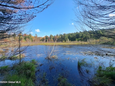 L9 Atateka Rd, Chester, NY 12817 - photo 2