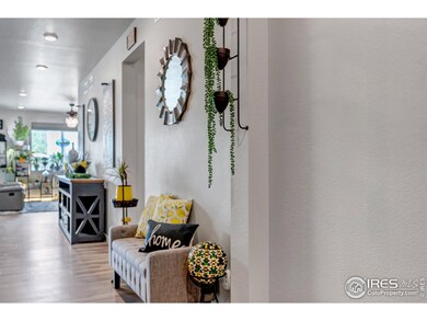 397 Cameron St, Johnstown, CO 80534 - photo 4